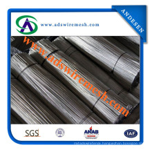 Cheap Price Good Quality Galvanized Cut Iron Wire (ADS-CW-03)